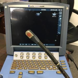 SonoSite 8-3 TEE Ultrasound Probe
