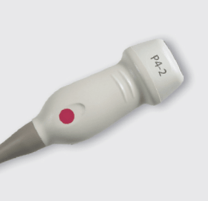 Siemens P4-2 Phased Array Ultrasound Probe