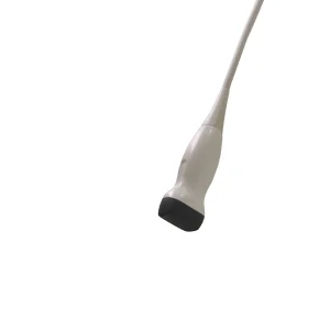 Esaote SP2430 Phased Array Ultrasound Probe